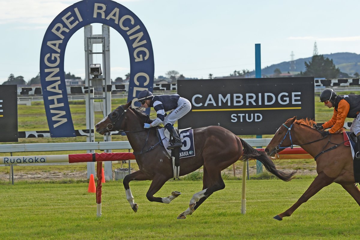 nzracingnews's tweet photo. Exciting two-year-old colt #TsunamiSam gave trainer Anthony Burton the perfect homecoming at Ruakaka on Saturday.

https://t.co/tPPhvtzaX4 https://t.co/yPnsxYZkgf