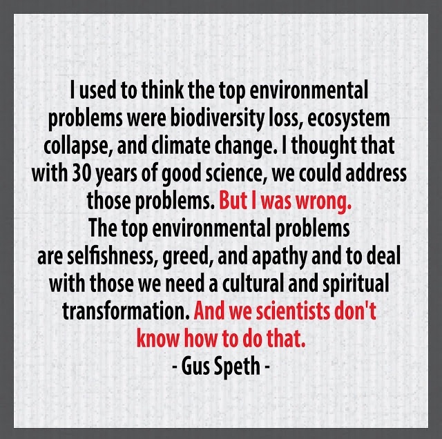 Hallucinating Pluto tweet media