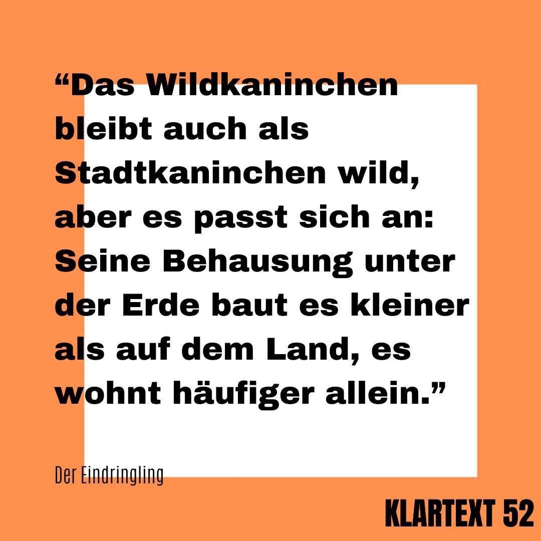 Grund und Boden - Das Magazin tweet media