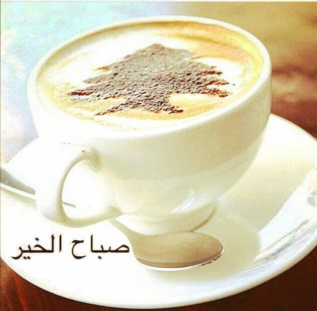 صباح الورد للجميع 🌹