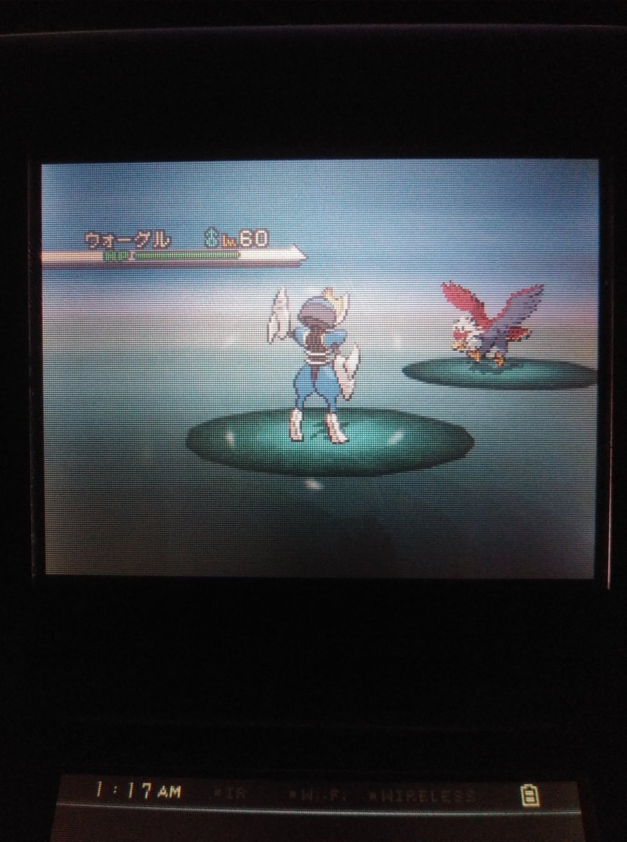 HotDogLord_'s tweet photo. 9,124 encounters 1st phase for seviper/zangoose and +6 points for #TeamScuffed https://t.co/OrsZ245hPo
