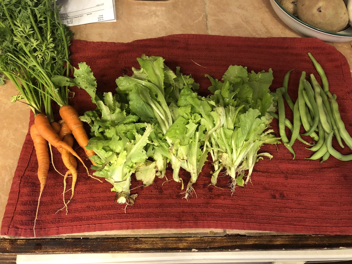 First harvest from our backyard garden. Exciting to see it begin to produce!