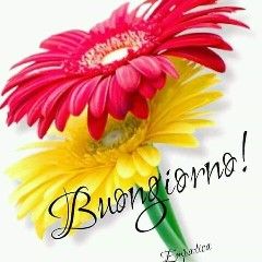 malouflp tweet picture