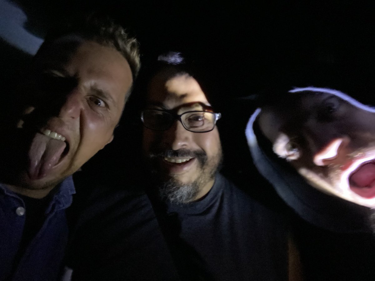 🌀Puro desmadre y leña pal carbón☮️ #rockandroll #funk #punk #razamixta