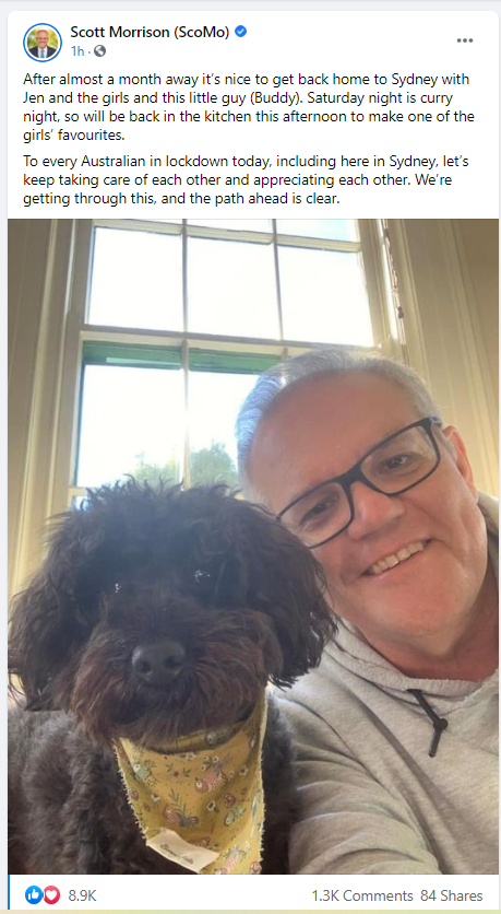BelindaJones68's tweet photo. I'm sure every Aussie is just fucking overjoyed to know it's curry night & you've taken yourself into a lockdown zone @ScottMorrisonMP
Planning on working from home now you're in lockdown are you PM?
🐝
#auspol #insiders https://t.co/o6Hus31tS5