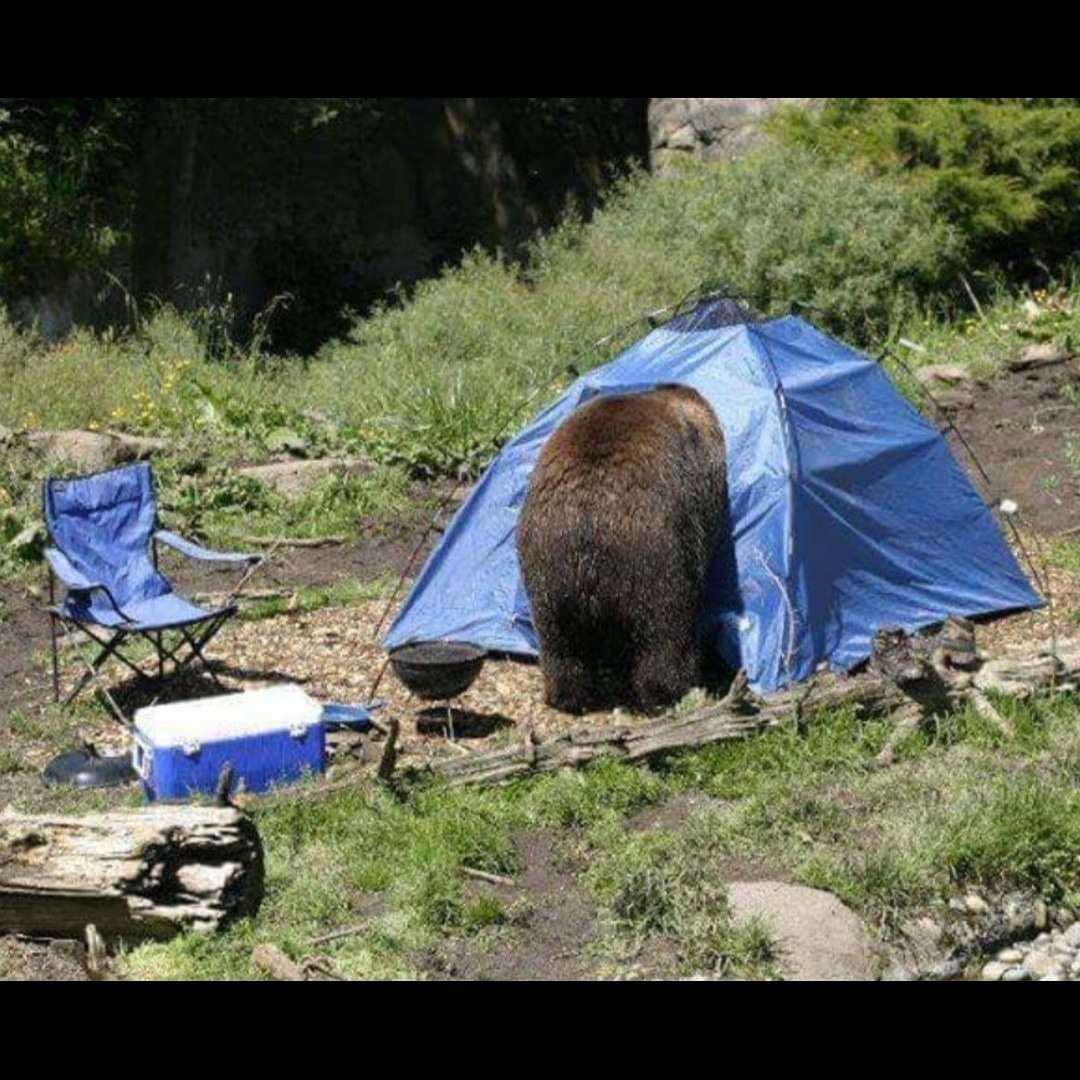 Go camping and enjoy the outdoors! 

INDEX
m.facebook.com/story.php?stor…
All Social Media accounts
facebook.com/groups/2001352…
#TACSThailand #camping #bushcraft #survival #prepping #emergency #emergencypreparedness #disaster #preparedness #Prepare #BePrepared #Bangkok #Thailand