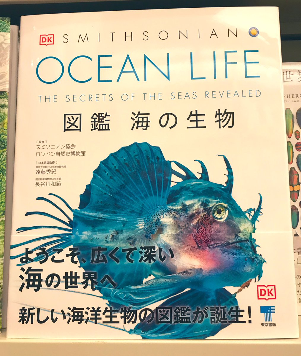 図鑑OCEAN LIFE海の生物 FLORA植物の世界 3F理工書】『OCEAN LIFE 図鑑海の生物』入荷。#スミソニアン協会