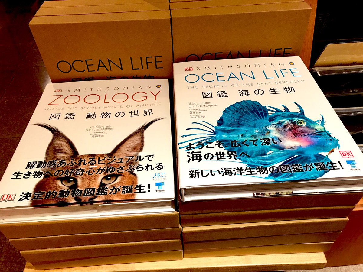 3F理工書】『OCEAN LIFE 図鑑海の生物』入荷。#スミソニアン協会
