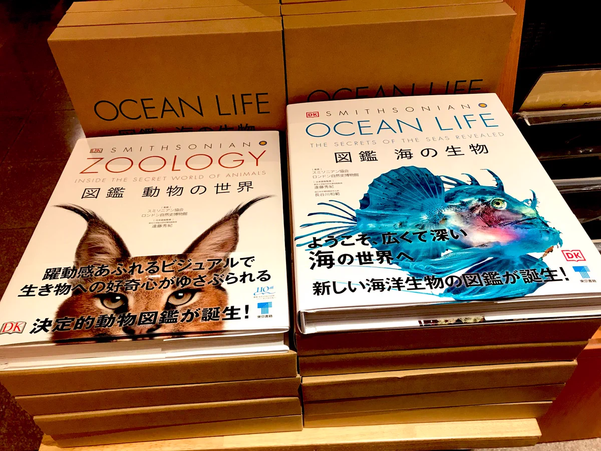 丸善丸の内本店 on X: 