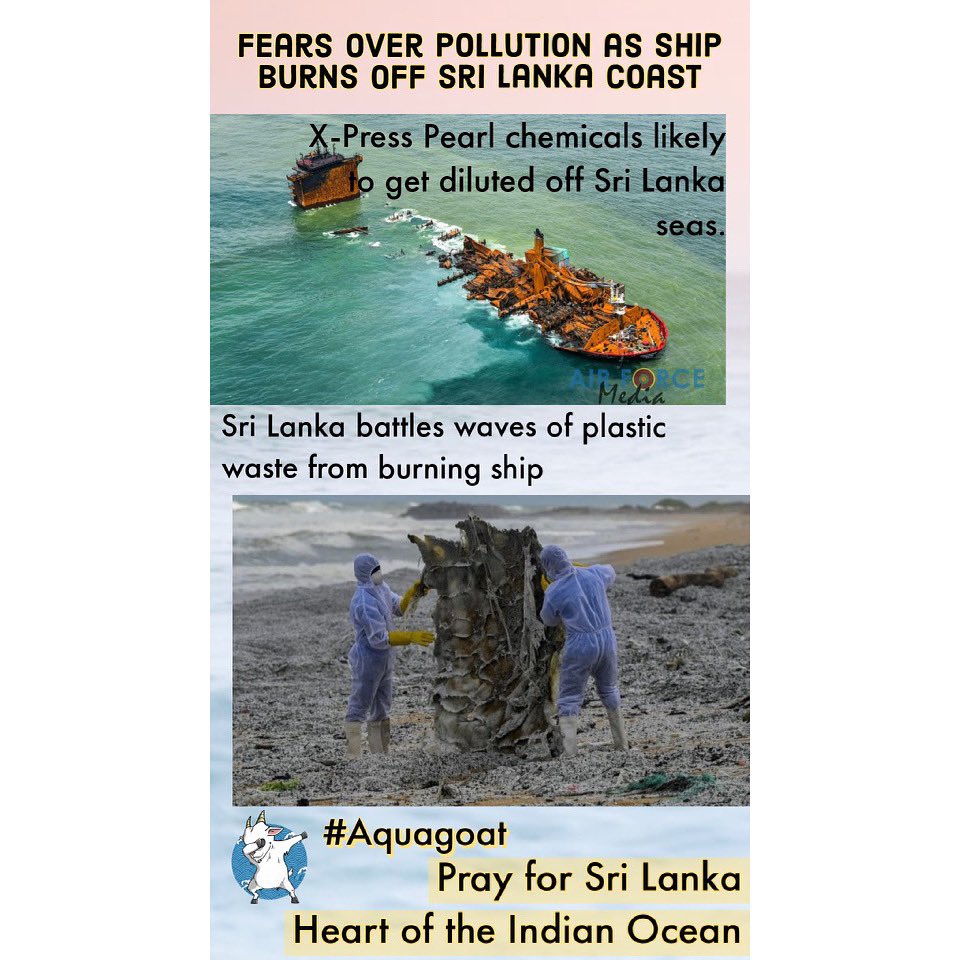AquaBsc's tweet photo. #AquaGoat is with you, Sri Lanka! We have donated $1,000 toward the Parley Emergency Fund to help with the Sri Lanka cargo ship disaster. Thank you Goats, for your generosity toward the Ocean Blue Fund! https://t.co/6AOOgfpuF8
