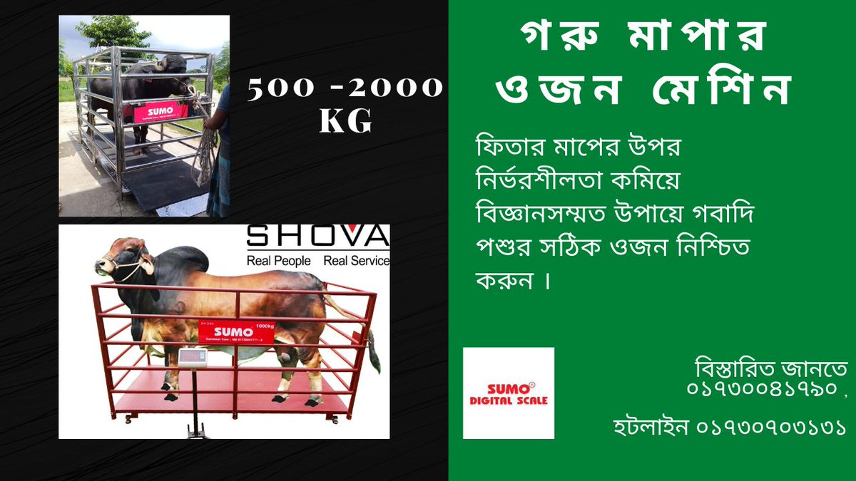 Buy Best Quality Cow Weight Machine with reasonable price manufactured in Bangladesh by a company named as Shova Advanced Technologies Limited under the brand SUMO Digital Scale 