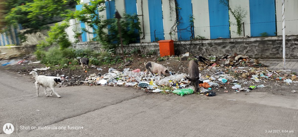 ethreal63's tweet photo. @pmcpune
स्वच्छ पुणे सुंदर पुणे.
जाई जुई शासकीय  वसाहत डॉन बॉस्को रोड, शास्त्री नगर, पुणे https://t.co/hb3q7oI3nV