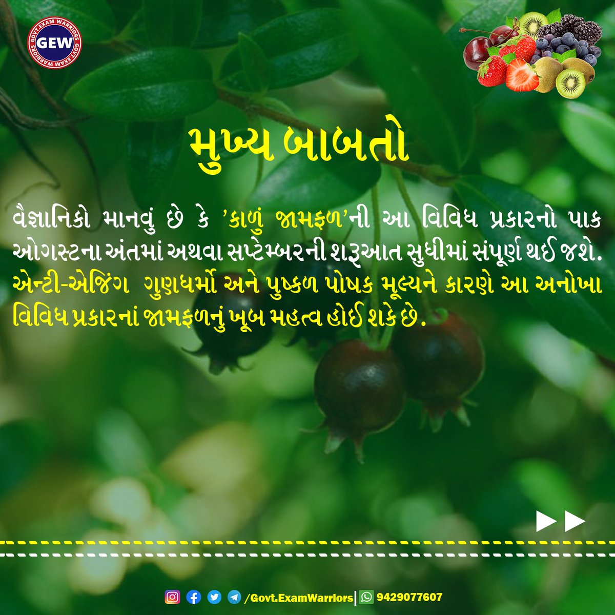 GEW8895's tweet photo. #black_Guava https://t.co/l0dKFsTev9