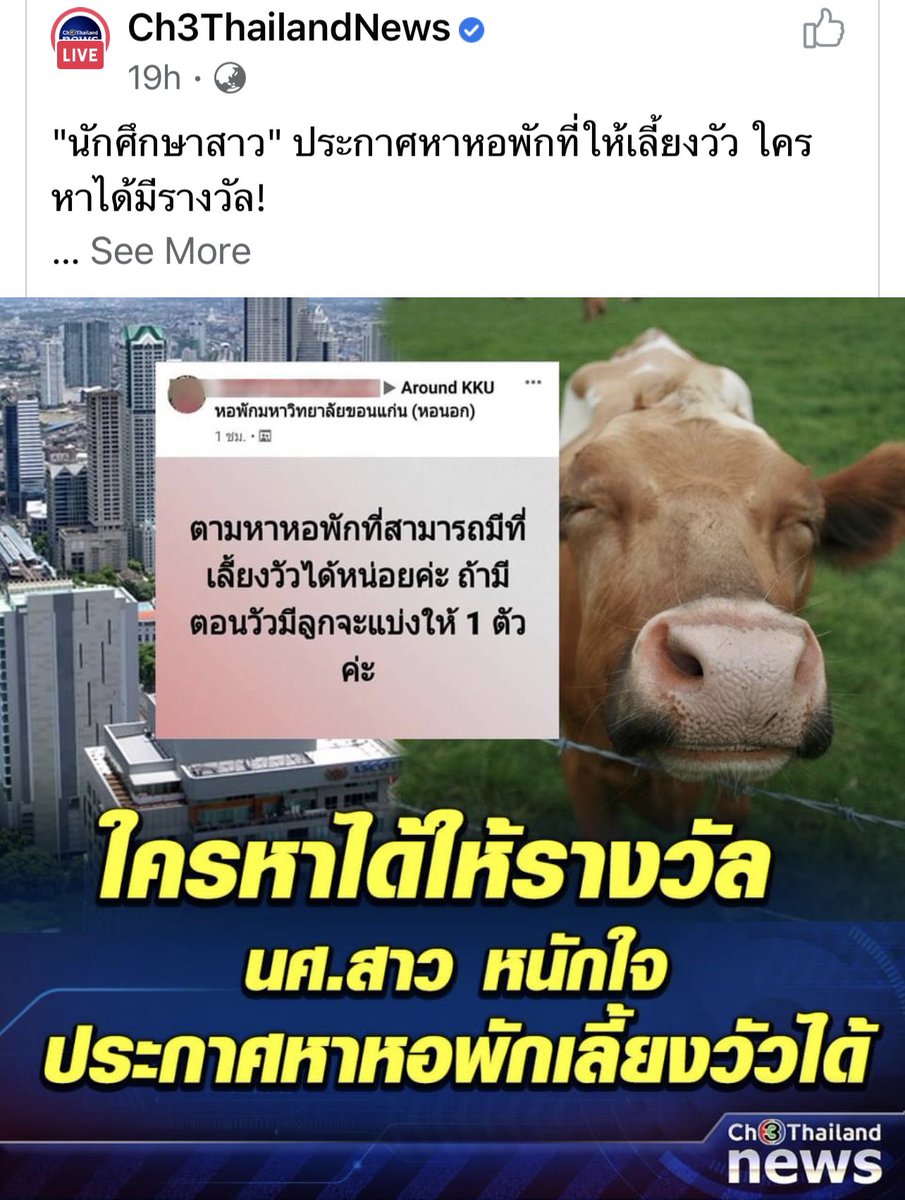 ครับ ม.ขอนแก่น ที่เคยมีงูหาย มีเสือปลาในป่าในมหาลัย และมีนศ หาหอที่เลี้ยงวัวได้