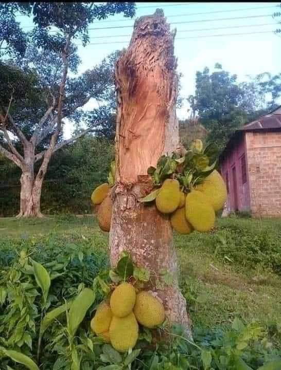IndiaTales7's tweet photo. No matter how cruel a person may be, nature will shower her mercy on him !! https://t.co/BYzYuGj5KW