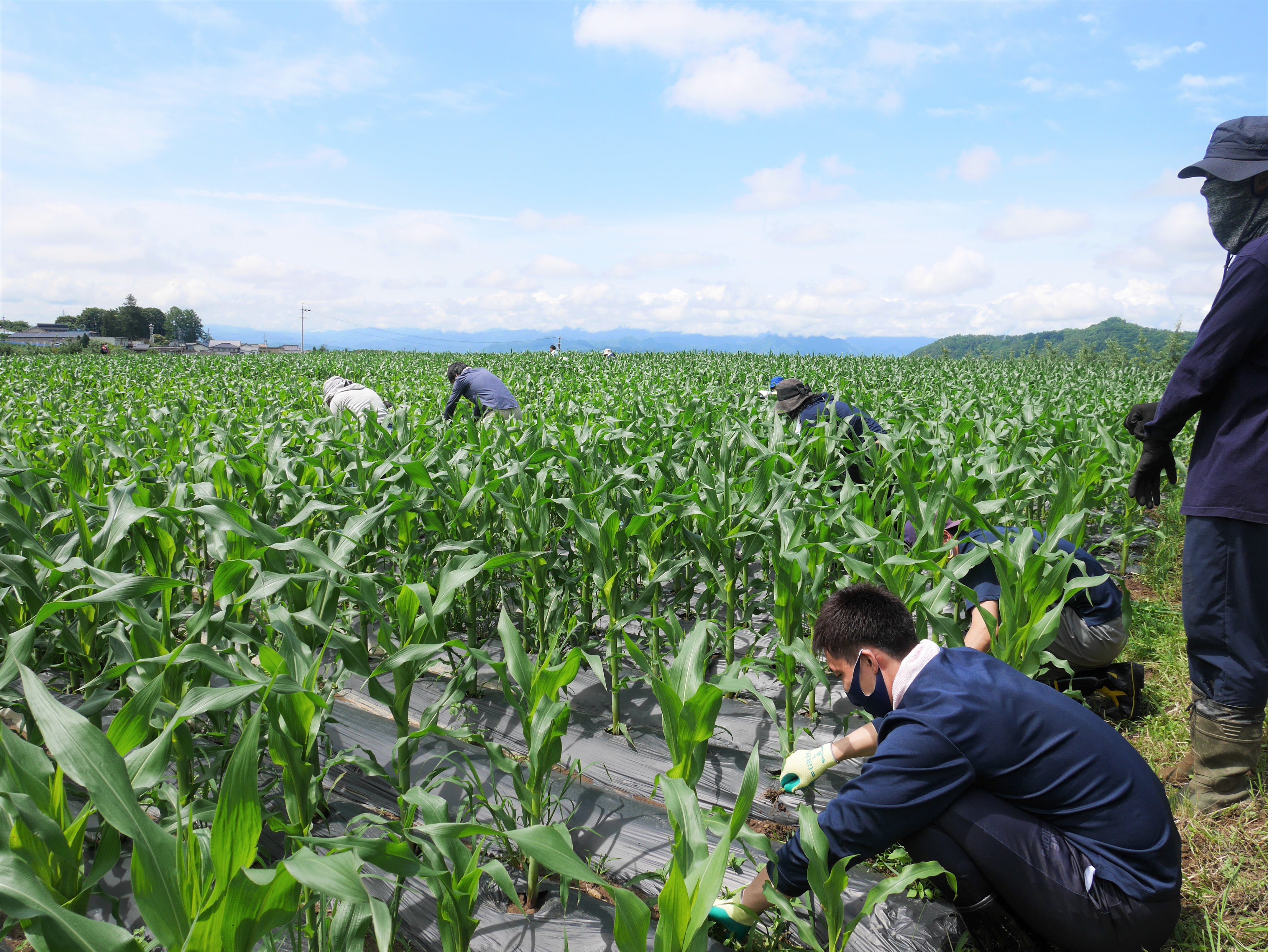 三ツ井 利也 Kazuya Mitsui31 Twitter