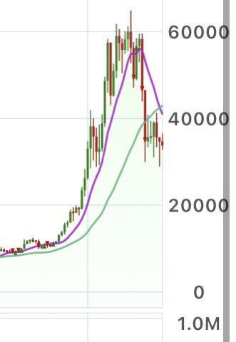 BTC_Canuck's tweet photo. $BTC #Bitcoin What if this was just one Giant Bull Flag https://t.co/bzE3ZuIgt2