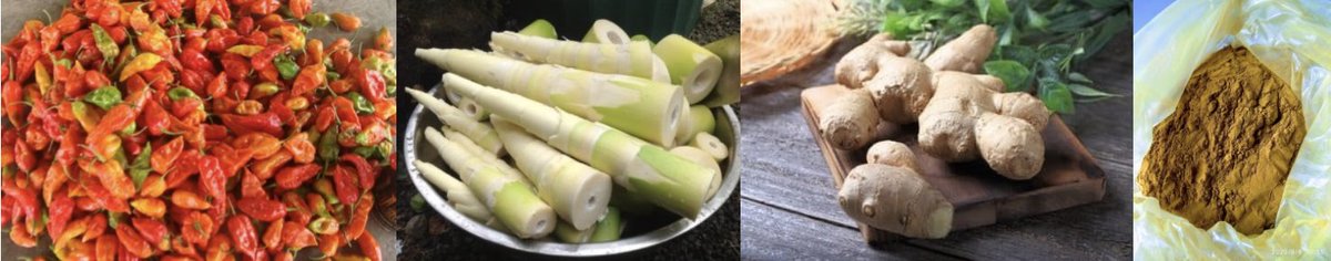 VDVK in Tamenglong, #Manipur is processing MFPs into finished products of turmeric powder, fermented bambooshoot, ginger candy and king chilli pickle. The VDVK has generated sales of around Rs. 1.2 lakhs benefitting 300 tribal households.
#VanDhanSeVikas #AtmanirbharBharat