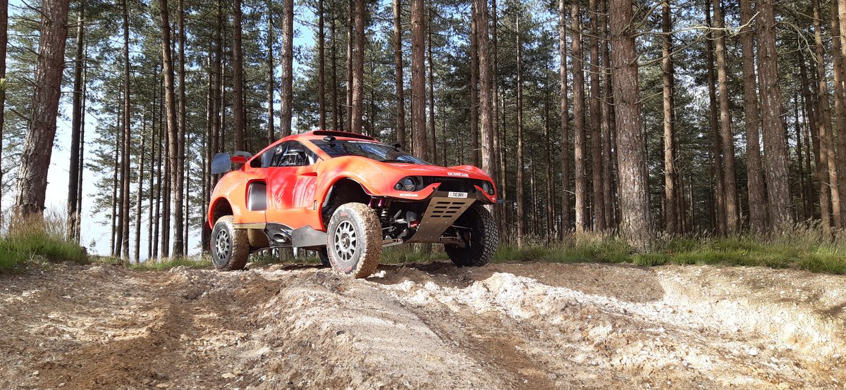 If you go down to the woods today you're in for a big surprise....