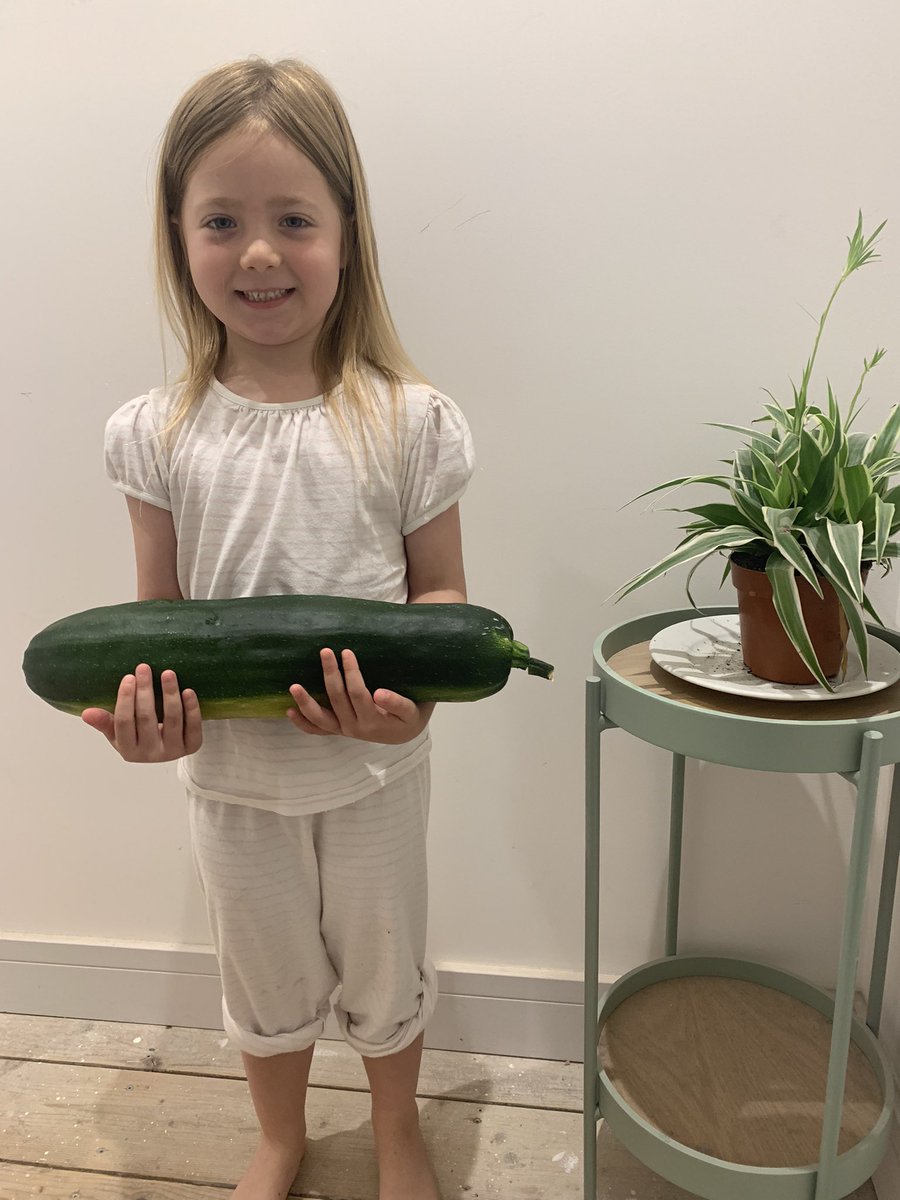 Wowzers @OddboxLDN What a courgette! 😀