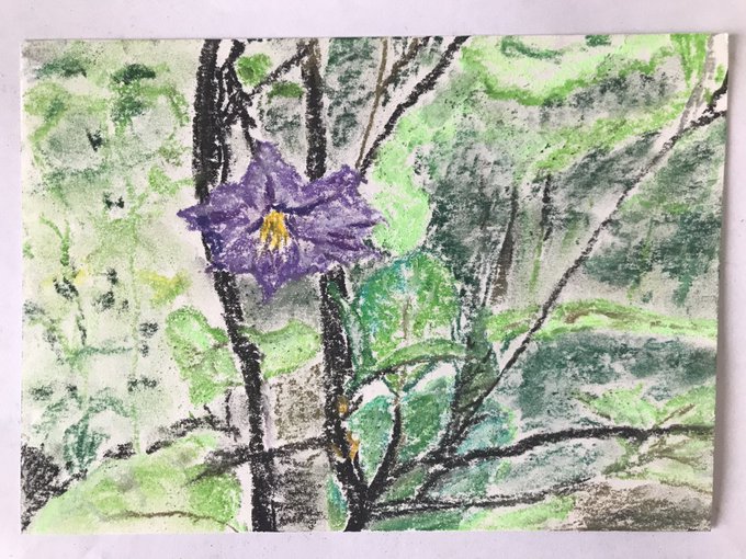 紫のナスのtwitterイラスト検索結果 紫のナスのtwitterイラスト検索結果