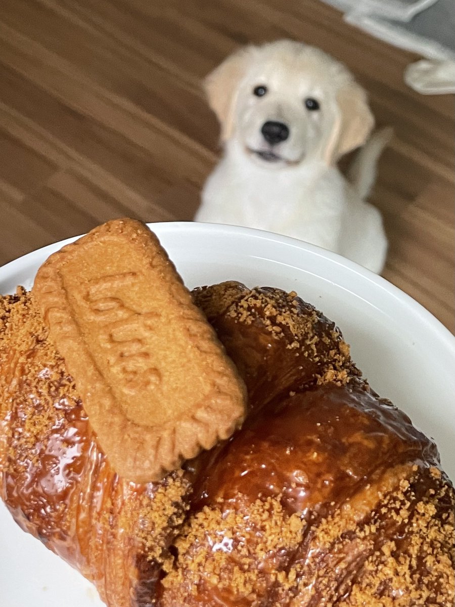 내꺼라고 사진 찍게 비키라고~~