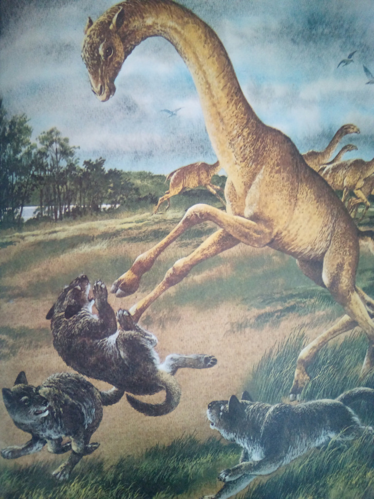 70sscifi's tweet photo. theladyfromplanetx:

Alticamelus with Aelurodons by Rod Ruth

1974 https://t.co/fcwfFGQmYB