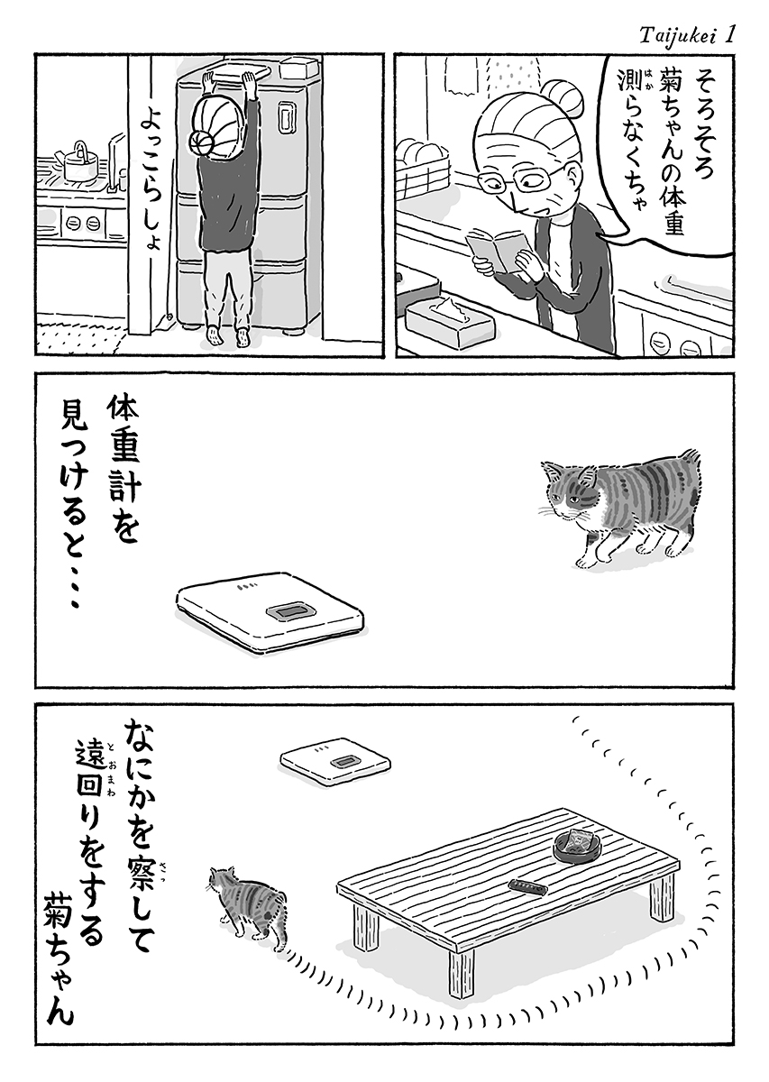 2ページ猫漫画「体重計」 #猫の菊ちゃん 