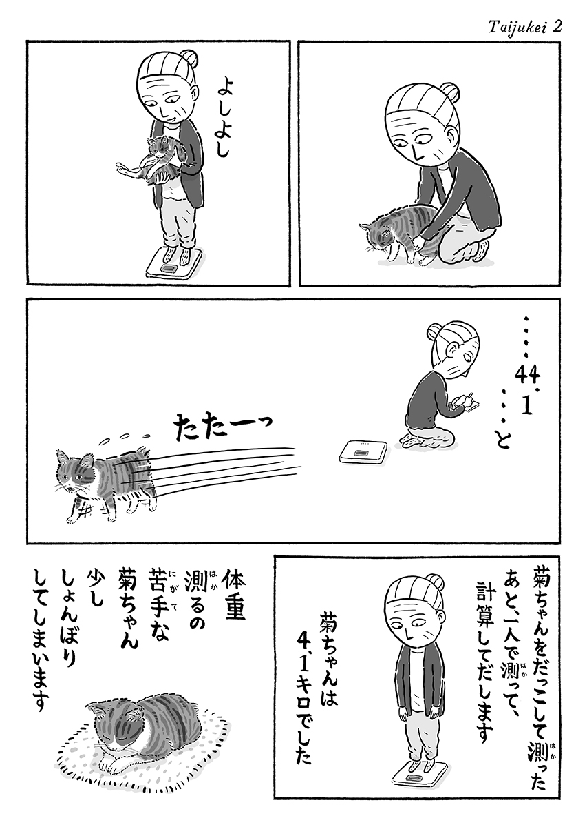 2ページ猫漫画「体重計」 #猫の菊ちゃん 