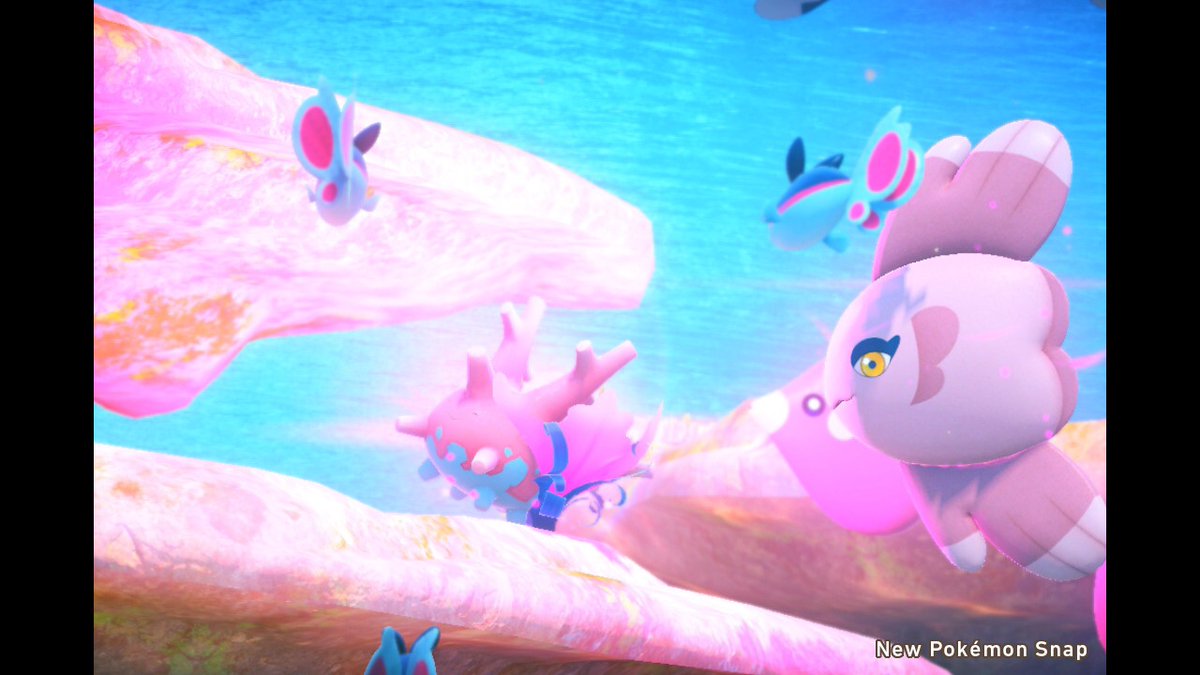 ワンダー 水中のアイドルサニーゴ 週末ポケスナ展覧会 ポケモンスナップ Newポケモンスナップ ポケスナ展示会 T Co Mxgjrbuuhi Twitter