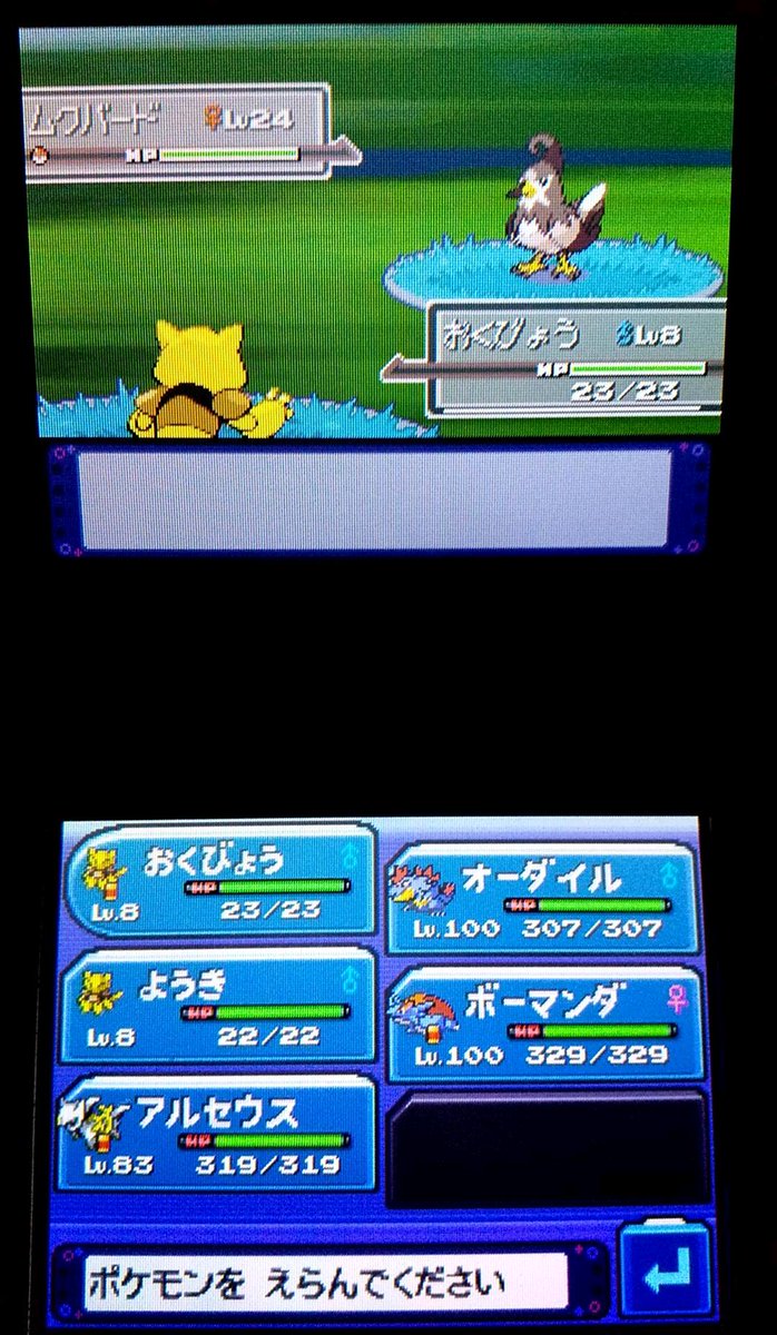 シロガネやまの住民 Twi11red Twitter