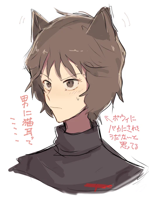 キッドさんはとっても可愛いので猫耳とか生えても許される 