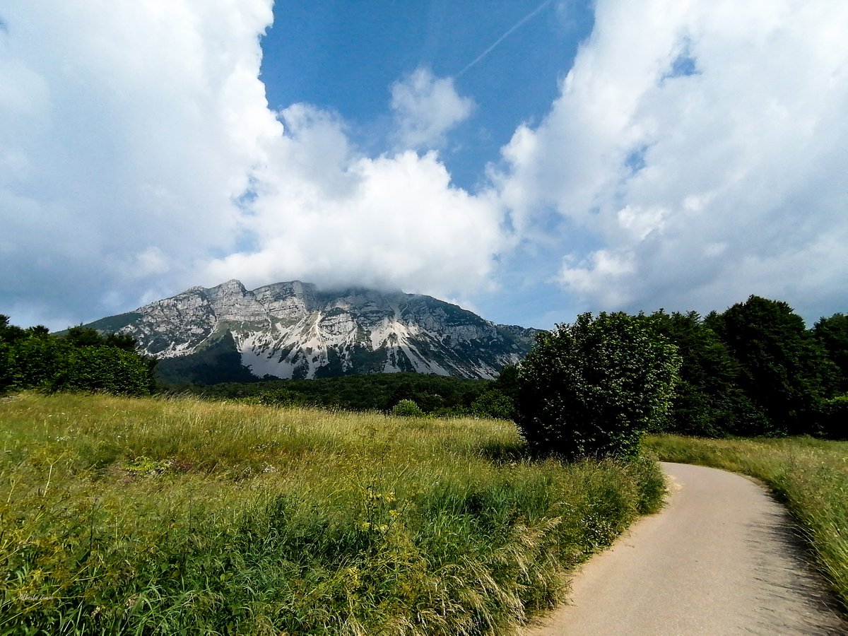AbaZuani's tweet photo. Sole tutta la settimana, ecco 🙄🙊.
Vabbé comunque una sbrisolona al @rifugiostivo vale il giro.
#PiùFotoCheKm
.
This Is My PlayGround 🤟🏻
.
#RunFastLiveCool
#gentefuoristrada
#IoCorroQui
@runlovers
#BitumenIsBoring
#DipendenzaDaPendenza
#Guadagnarsela https://t.co/3qkln3tP7N
