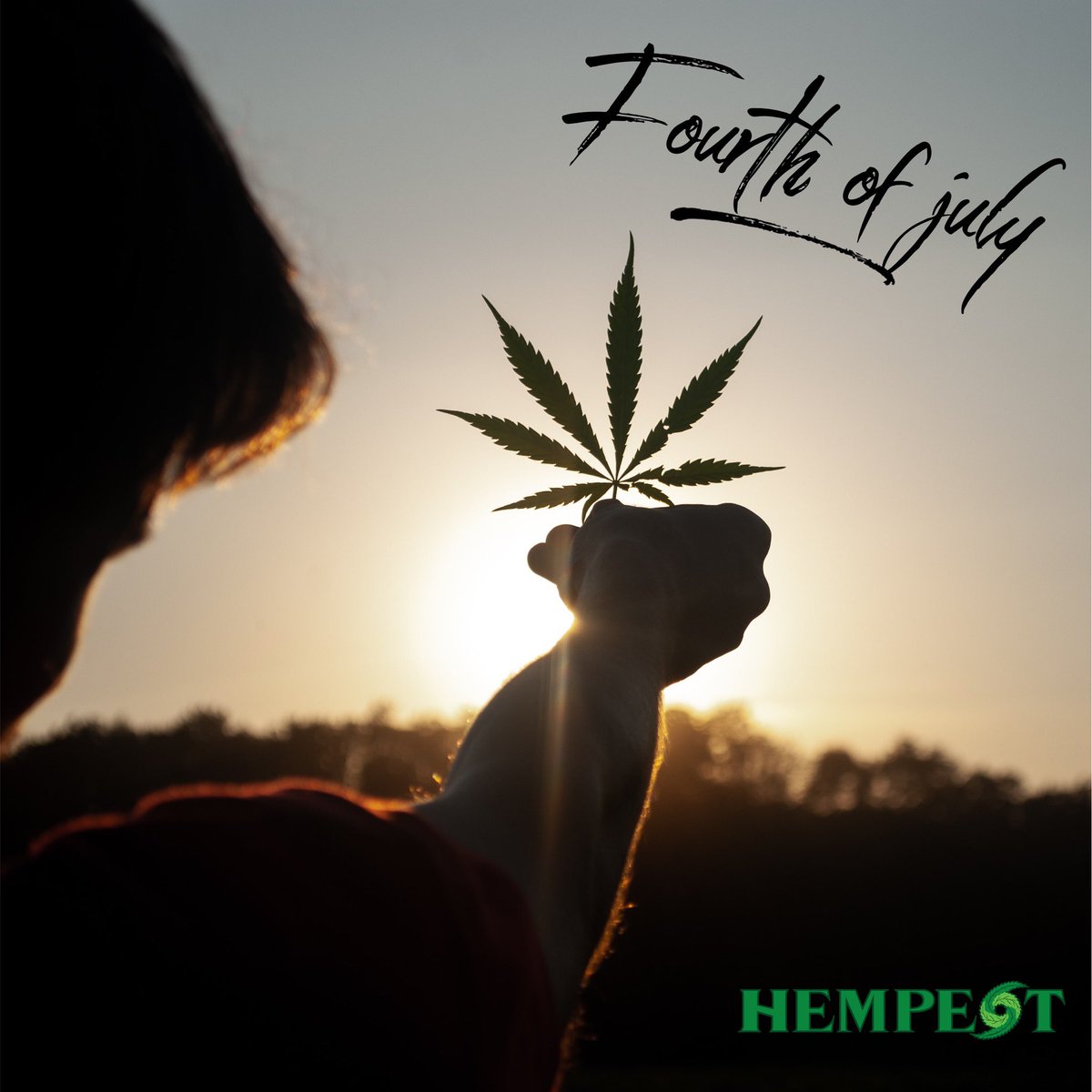 Celebrate Independence Day with Cannabis! 🌿

➡️Did you know the first American flag was made from Cannabis? 
➡️That Massachusetts residents could pay their taxes with Cannabis? 
➡️Did they forget to mention that in the history books?