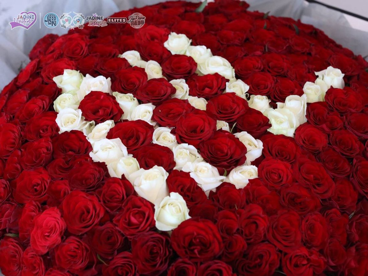 JaDineHabb's tweet photo. WE LOVE YOU NL @hello_nadine 🌹🌹🌹

@x_elites @JaDineNATION @JaDineEscape @JDSponsorsPH @JDTeamSponsors 

NADINE LUSTRE AMC 
#AbsoluteMadness https://t.co/7mMBL1vPGP