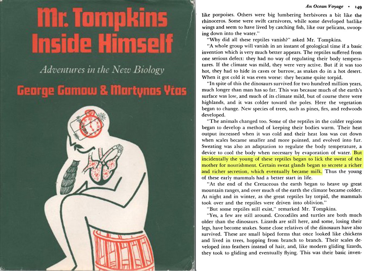 اقتباسات كفرة tweet media