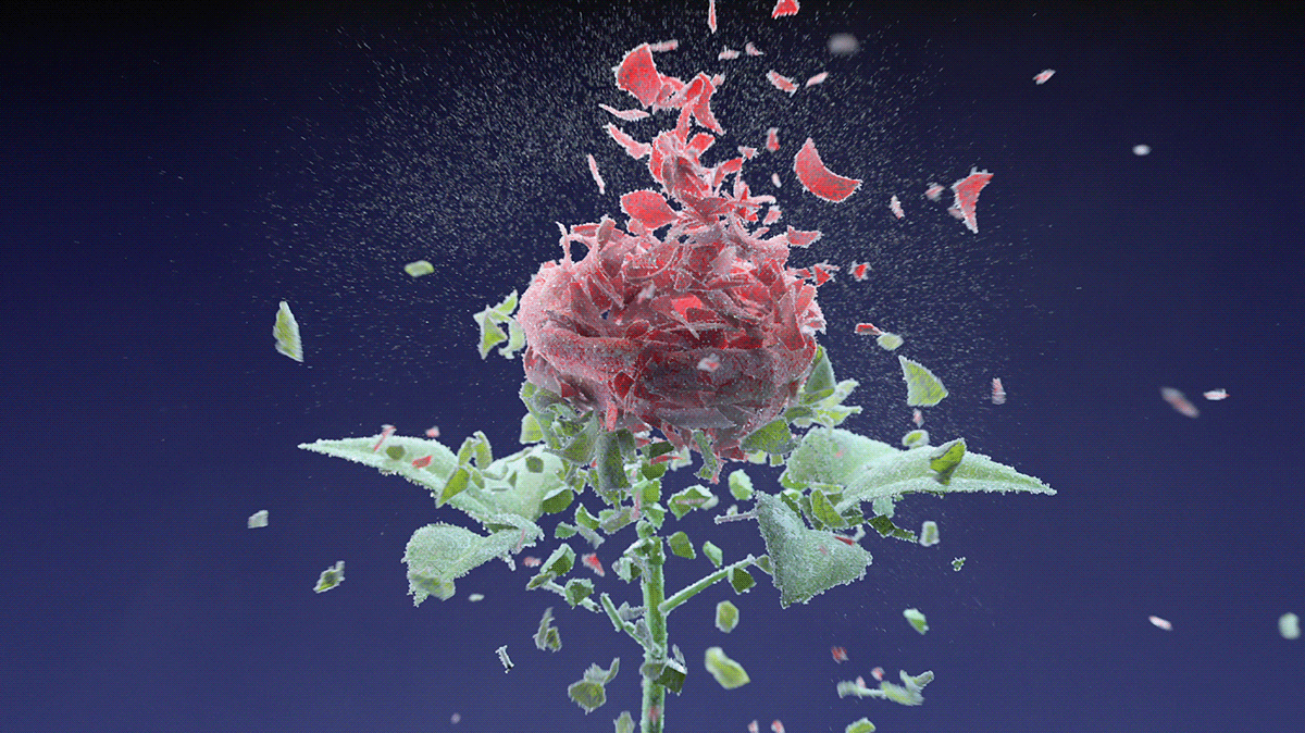 “I feel like Houdini is a safe bet for future job security.”
-Ian Frederick 
⁠
#cg #cinema4d #houdini