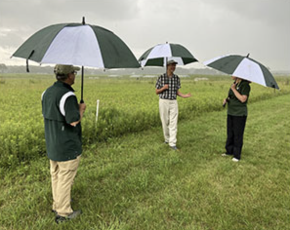 KBSLTER's tweet image. Over the past few weeks, @KelloggBioStn hosted tours for Rep. Christine Morse @Vote4Morse, Michigan State University trustees Diane Byrum and Melanie Foster, and MSU Provost Teresa Woodruff.

We appreciate the time they took to learn more about what we do! #MSUKBS #KBSLTER