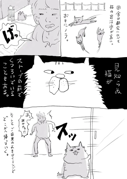 田舎の猫あるある。

#猫漫画 