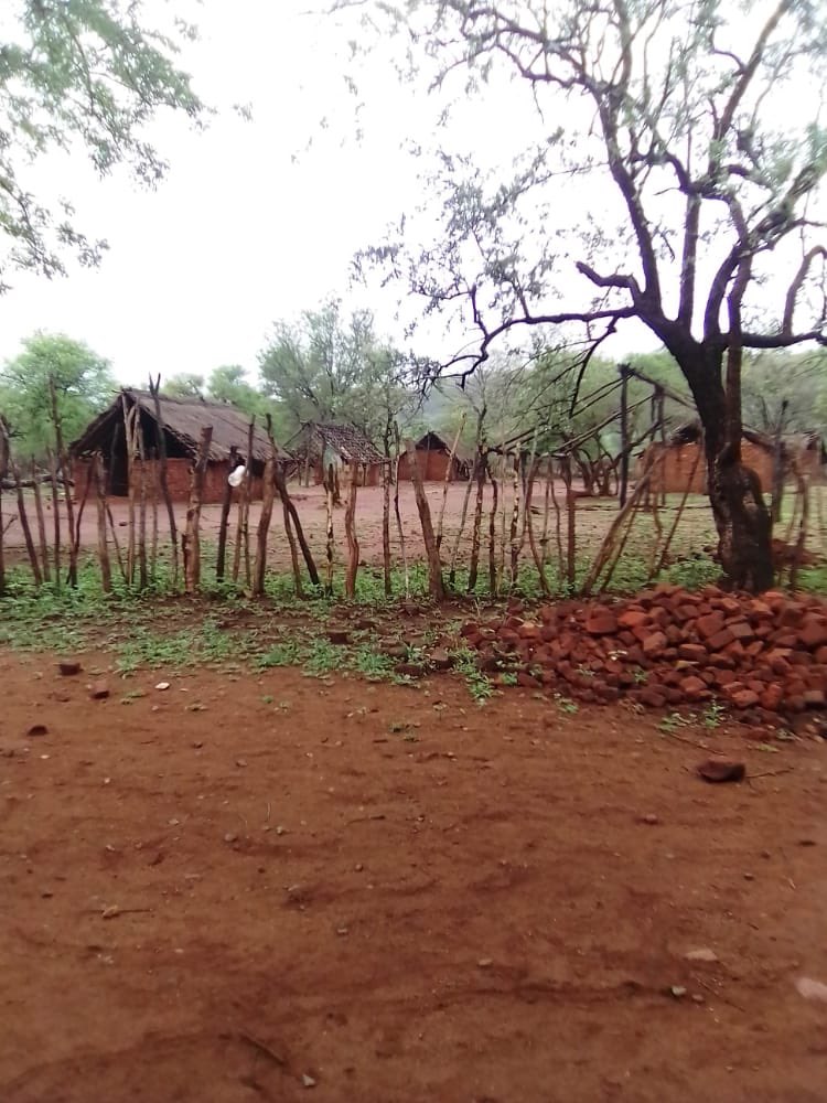 ROHRZimbabweorg's tweet image. Education is key but some of our children have been neglected. How can they be expected to get a great education when the school facilities are not adequate? @edmnangagwa and his government are failing our children  @ARTUZ_teachers @nelsonchamisa @PacheduZW @ZanuPFYouthCIC