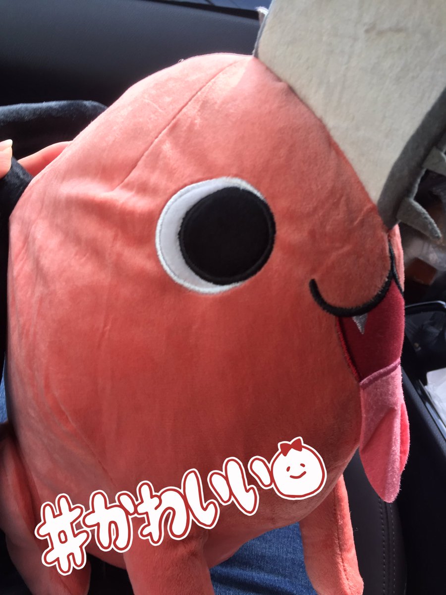 akka164's tweet photo. ねえ！！ポチタ可愛すぎるん( ;ᯅ; )♡ https://t.co/IMKREi0Rb6