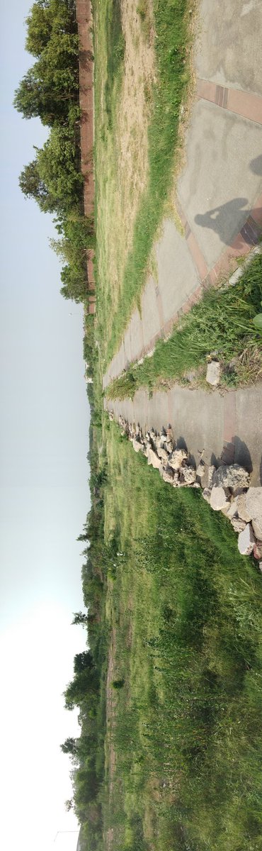 k_21arun's tweet photo. Respected @RajBalaMalik ma'am, these are the pictures from sector 50-B Chandigarh. Construction Work of this park is stopped in mid way, from 2019. Please do the needful. Thankyou. https://t.co/pYndedJmvV