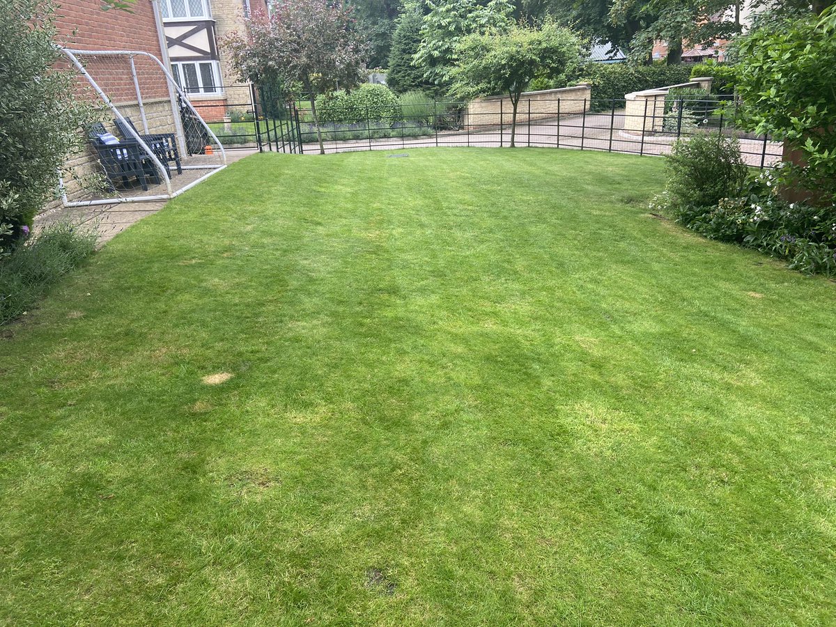 ironinlincoln's tweet photo. Well lads….there’s a new kid on the block….BEHOLD the @BriggsStratton 300E #yardforce . First run out this morning, easy to build, light weight and great cut https://t.co/6TSJCmIzrN