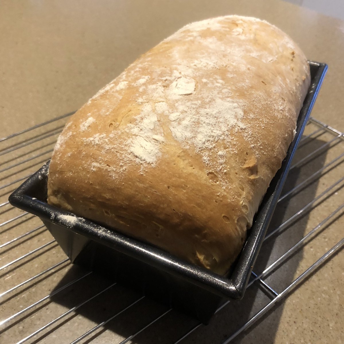 Sophie Sanderson tweet media