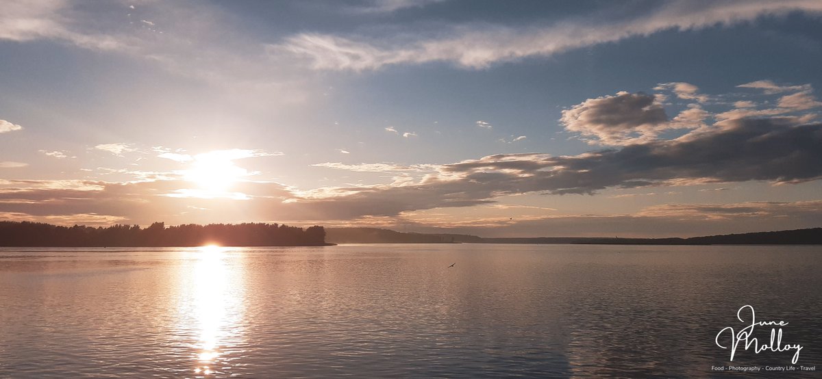 WildLithuania's tweet photo. The soul of an evening is in the sky. That’s where the drama unfolds, if there is to be drama. Or the serenity, if she’s in a tranquil mood. Clouds drift softly, or fold themselves gently around the setting sun. ls.
To read the rest of this post, see here: https://t.co/GgGl3kvsoh https://t.co/JLH0txsw9B