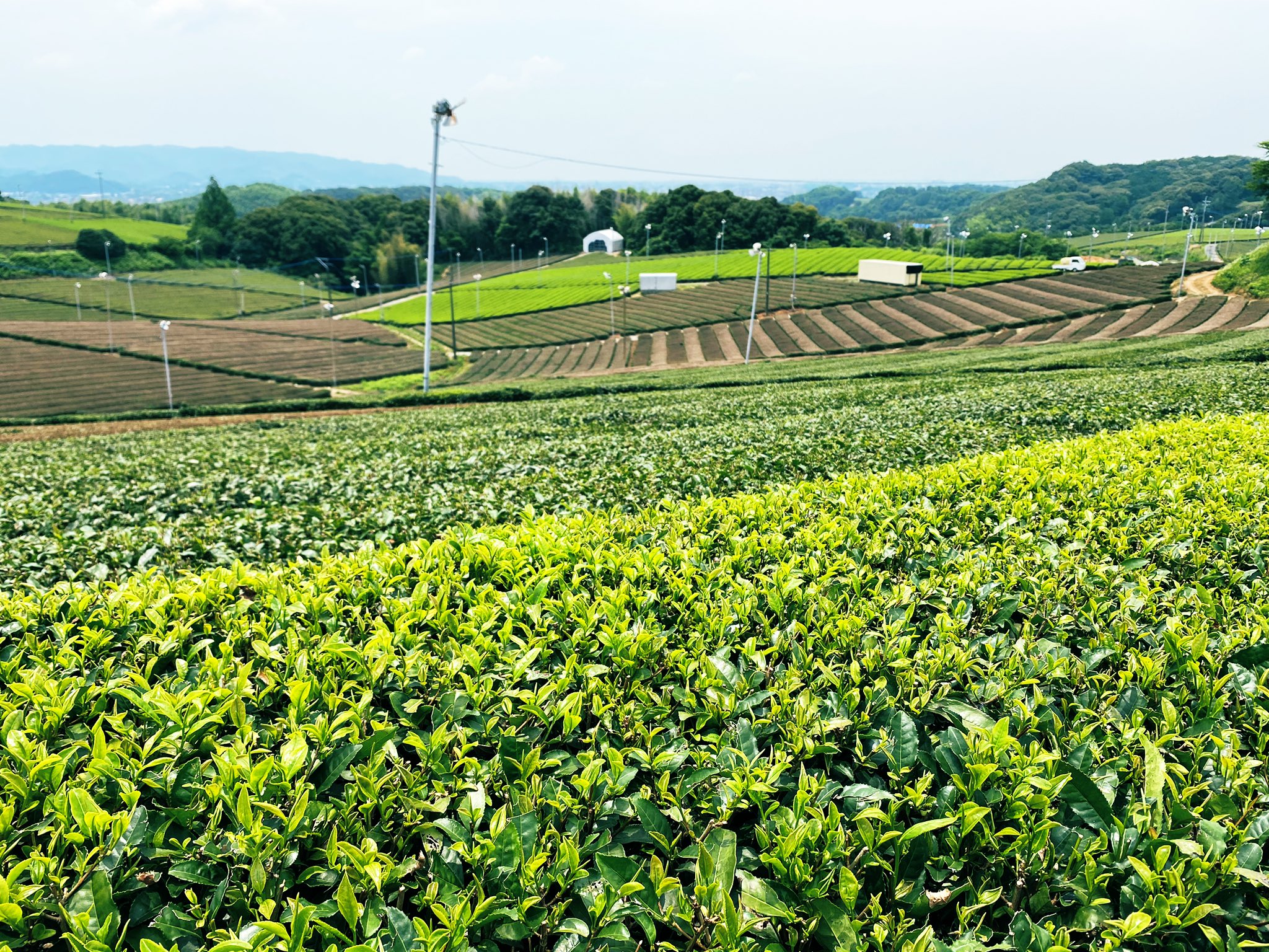 Agri Smile 産地とともに持続可能な農業と地域をつくる Agri Smile Jp Twitter