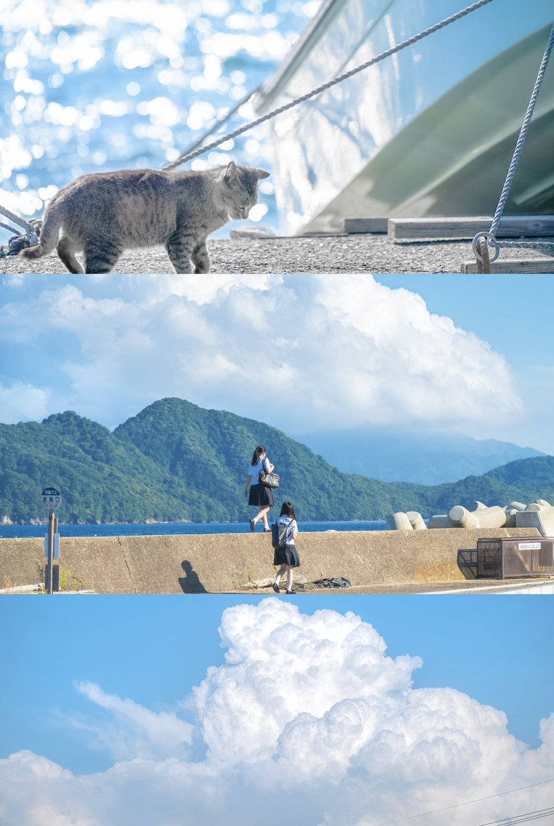 あの夏を忘れないで あの夏を忘れないで