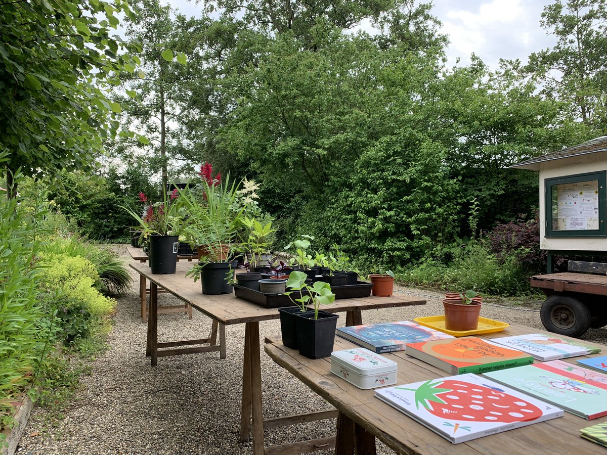 Stekjesruil en boekenmarkt op NVL van 12 tot 14 uur.