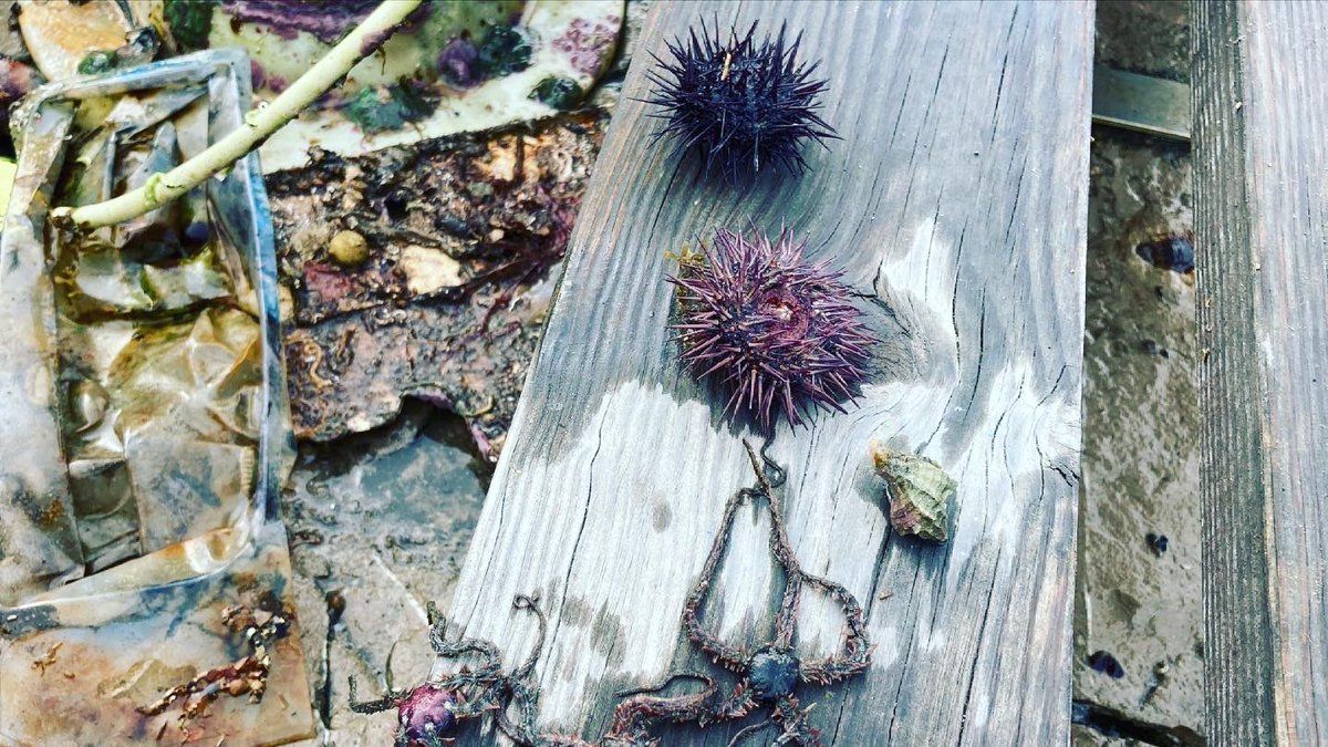 Port De Sete tweet media