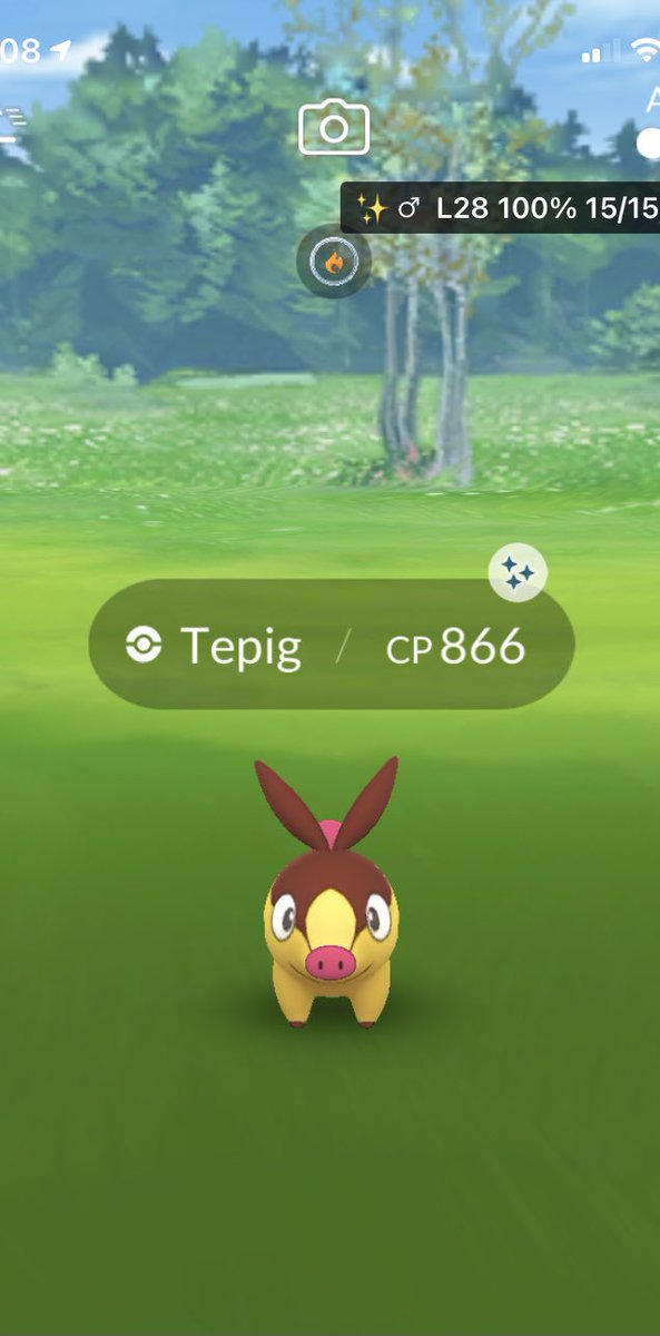 0WaglclawJr's tweet photo. First shundo in a while ✨💯 #CommunityDay #Tepig #Shiny #Shundo https://t.co/n2z9uXBPSv